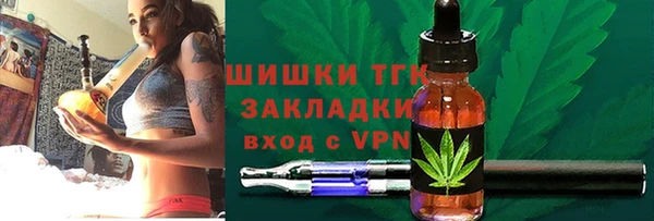 ECSTASY Богородицк