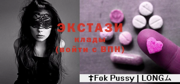 ECSTASY Богородицк